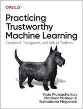 trustworthy machine learning_tech books_2023