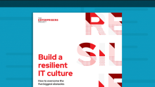 Cover of a digital asset on IT culture